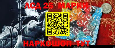 ПСИЛОЦИБИНОВЫЕ ГРИБЫ Гатчина