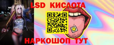 дживик Гай